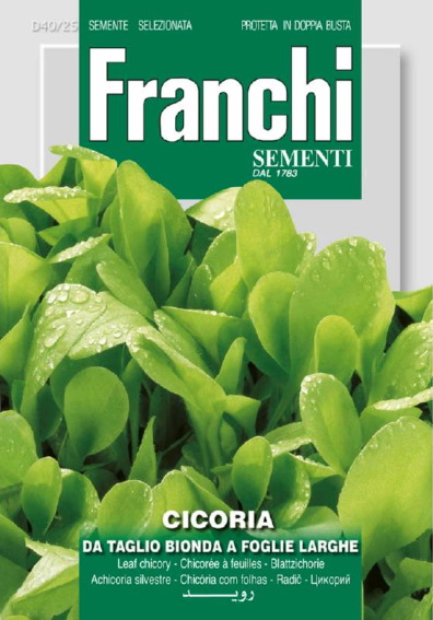 Chicory Da Taglio Bionda A Foglie Larghe (Cichorium) 8400 seeds